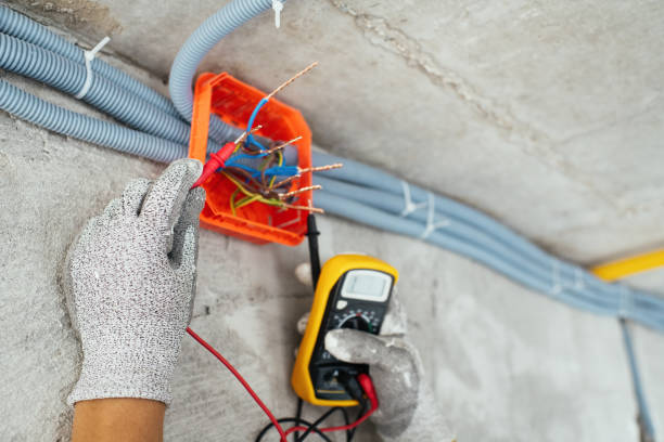Best Home Electrical Repair  in Mazomanie, WI